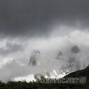 030913214940IMG_2100
