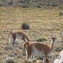 030913220138IMG_2184