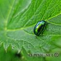 IMG_7342_aDxO