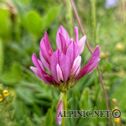 IMG_7456_aDxO