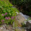 IMG_7537_aDxO