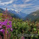 IMG_7549_aDxO