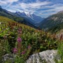 IMG_7551_aDxO