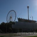 IMG_2890