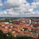 IMG_2943