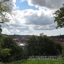 IMG_2948