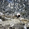 IMG_3572_DxO_lo_dxo