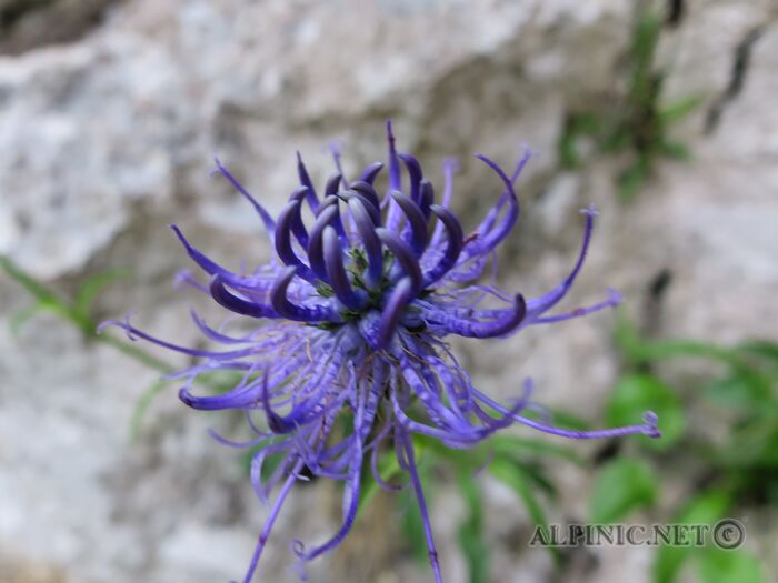 IMG_5050_lo_dxo