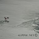 DSC06906_DxO
