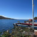 IMG_1832