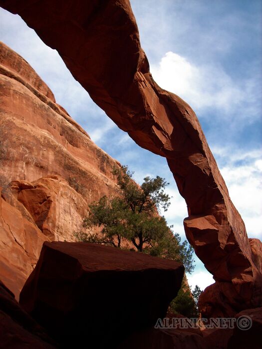 Landscape Arch / Arches / Moab / Utah 