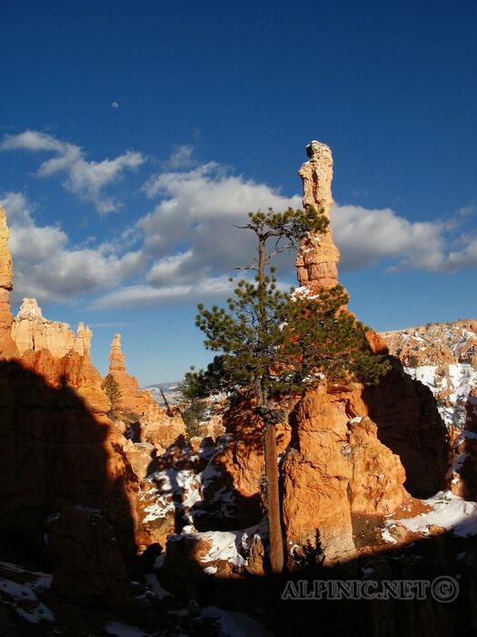 Bryce Canyon / Utah