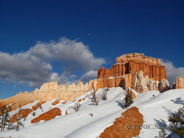 Bryce Canyon / Utah