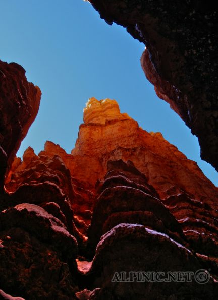 Stillleben / Bryce Canyon / Utah