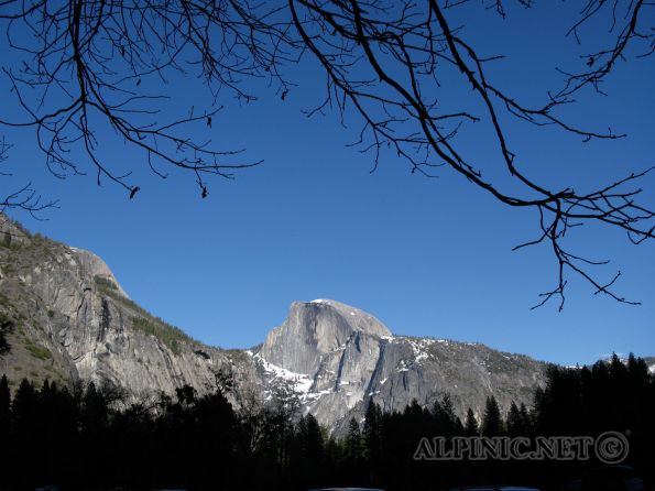Stillleben / Yosemite / California