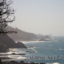 West Coast / CA