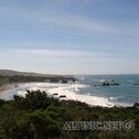 West Coast / CA