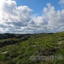 IMG_0481_DxO