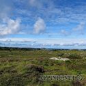 IMG_0482_DxO