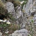 IMG_4924_lo_dxo