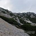 IMG_4981_lo_dxo