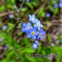 IMG_4988_lo_dxo