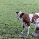 IMG_5705_lo_dxo