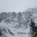 IMG_4155