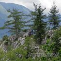 IMG_2269_lo_dxo