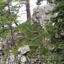 IMG_2302_lo_dxo