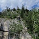 IMG_2323_lo_dxo