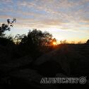 IMG_3816