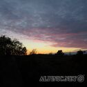 IMG_3826