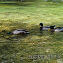IMG_4871_lo_dxo