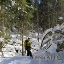 IMG_1331