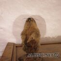 IMG_1582_dxo
