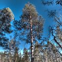 IMG_2132_3_4_Creative_lo_dxo