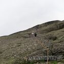IMG_2209_lo_dxo