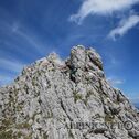 IMG_0583