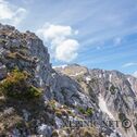 IMG_0588