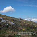 IMG_0597