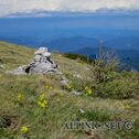IMG_0603