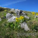 IMG_0606