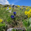 IMG_0607
