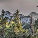 IMG_5541_2_3_Vibrant_lo_dxo