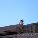 IMG_0722_DxO