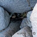 IMG_0766_DxO