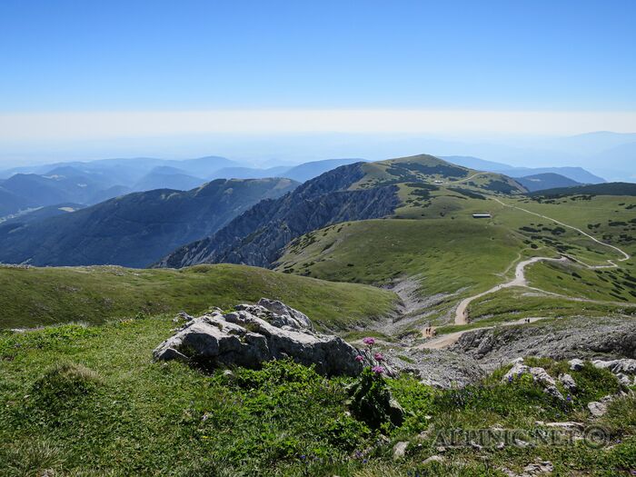 Image00005