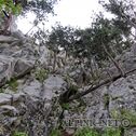 IMG_0886