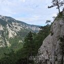 IMG_0889